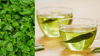 Mucizevi Besin Yeşil Çayın Saç Sağlığına Faydaları