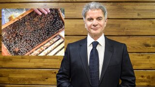 ‘2021 Yılında Arıcılık Sektörü Büyük Kayıp Yaşadı’