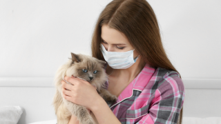 Alerjisi olanlar için kedili bir hayat mümkün