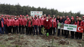 Coca-Cola Hatıra Ormanları’nda 50 bin fidan yeşerecek