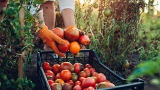 Ege İhracatçı Birlikleri sürdürülebir gıda için firmaların güçlerini birleştiriyor