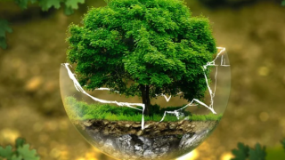 Eren Holding, Milli Ağaçlandırma Günü’nü 3 milyon fidan dikimiyle kutluyor