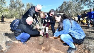 İzmir’de “Zeytin Çocuk Festivali” düzenlendi