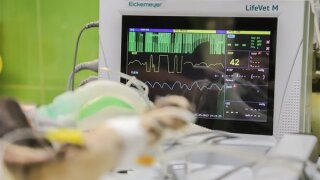 Kalp hastalıklarının 10 önemli belirtisine dikkat