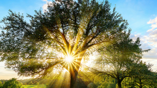 Karbonsuz ekonomi için ilk adım enerji verimliliğinden geçiyor