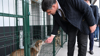 Kartepe'de 'Sokak Hayvanları Rehabilitasyon Merkezi' hizmete açıldı