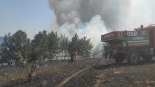 Kırklareli ve Çanakkale'de orman yangını