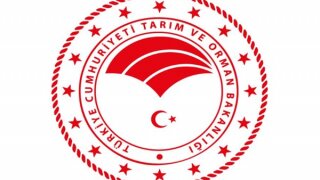 Mavi yüzgeçli orkinos avcılığı 15 Mayısta başlıyor