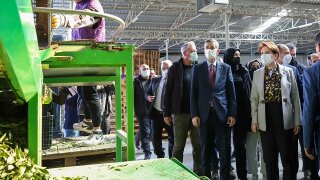 Meral Akşener Erdemli’de halka sesleniyor