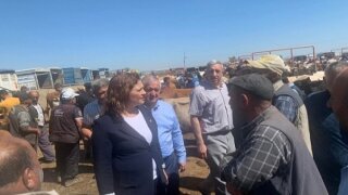 CHP Milletvekili Köksal: “Adı bayram, kendi hüsran”