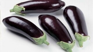 Patlıcan sapının bilinmeyen faydaları