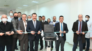 Sokak hayvanları için güç birliği