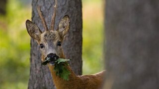 Ülkemizin %73.4’ü çölleşme tehlikesi altında