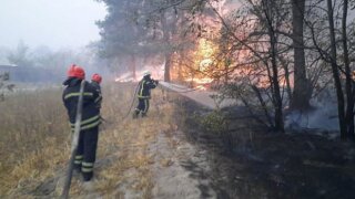 Ukrayna'nın doğusundaki orman yangınlarında 11 kişi öldü